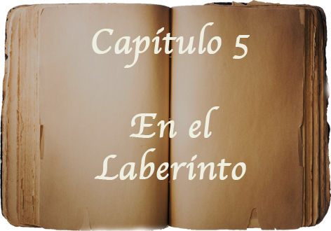 Chapter 5 icon
